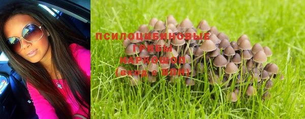 сатива Богданович