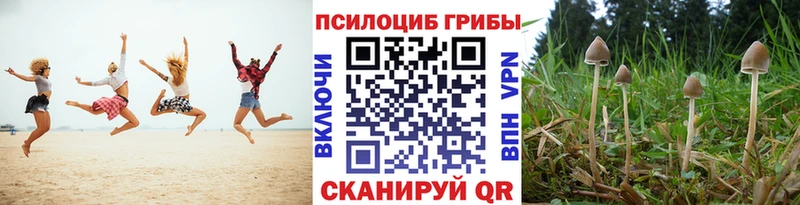 даркнет сайт Калининец Псилоцибиновые грибы Cubensis